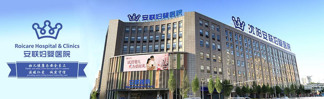 banner19.jpg