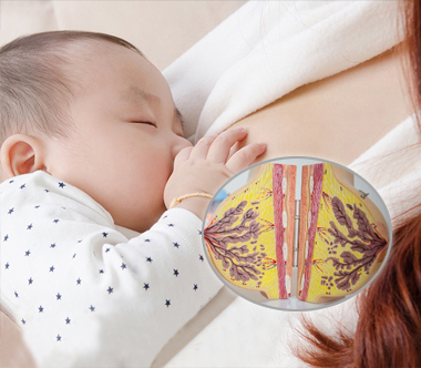 母乳喂养-2.jpg